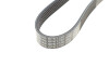 Ремень поликлиновый (Skoda Seat Toyota Chrysler Dodge) - ((04891804AA, 4891804AA, 6R0260849, 9008091199, 9091602559)) DAYCO 6PK1730 (фото 4)