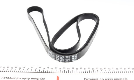 Фото 2 - Ремінь приводний DAYCO 6PK1800