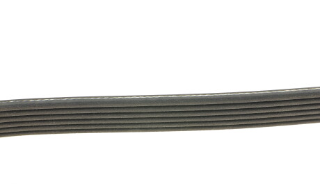 Фото 2 - Ремінь приводний DAYCO 6PK1900