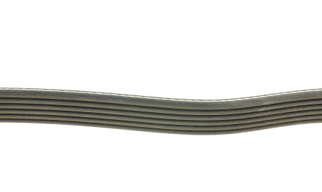 Фото 2 - Ремень приводной DAYCO 6PK1915