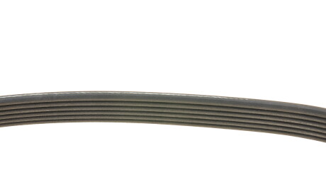 Фото 3 - Ремень приводной DAYCO 6PK1930