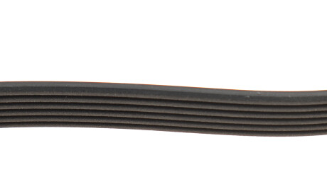 Фото 3 - Ремінь приводний DAYCO 6PK1955