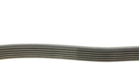 Фото 2 - Ремінь приводний DAYCO 6PK1960