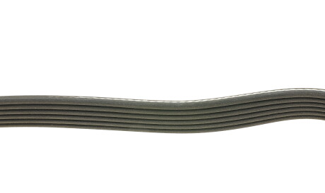 Фото 2 - Ремінь приводний DAYCO 6PK2020