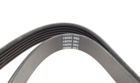 Фото 2 - Автозапчастина DAYCO 6PK2070