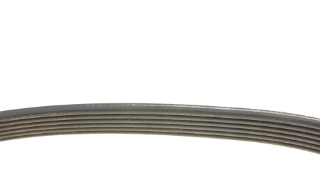 Фото 3 - Ремень приводной DAYCO 6PK2080