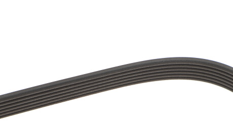 Фото 3 - Ремінь приводний DAYCO 6PK2120