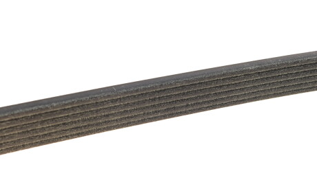 Фото 4 - Ремень приводной DAYCO 6PK2155S