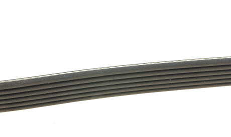 Фото 2 - Ремінь приводний DAYCO 6PK2160