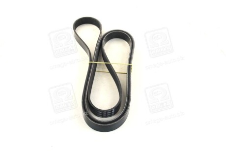 Фото 4 - Ремінь приводний DAYCO 6PK2175