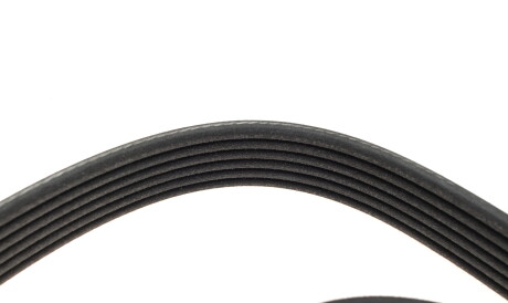 Фото 3 - Ремінь приводний DAYCO 6PK2203