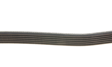 Фото 3 - Ремінь приводний DAYCO 6PK2210