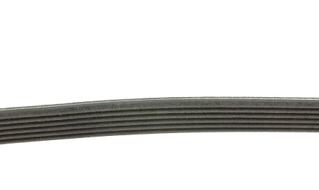 Фото 2 - Ремінь приводний DAYCO 6PK2220K