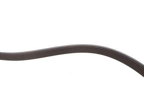 Фото 3 - Ремень приводной DAYCO 6PK2310