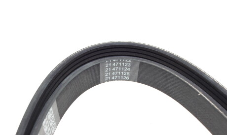 Фото 2 - Ремінь приводний DAYCO 6PK2404