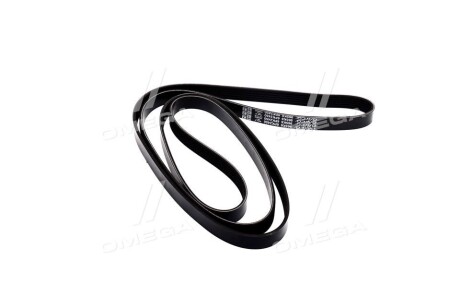 Поліклиновий ремінь - DAYCO 6PK2450