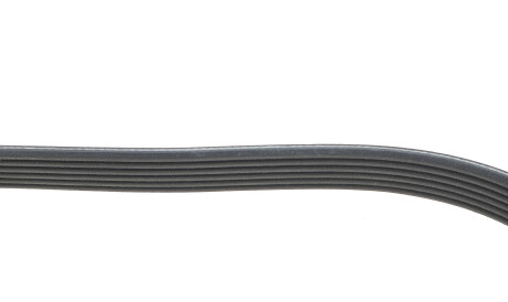 Фото 3 - Ремень приводной DAYCO 6PK2515