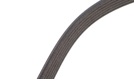 Фото 3 - Ремень приводной DAYCO 6PK2576S