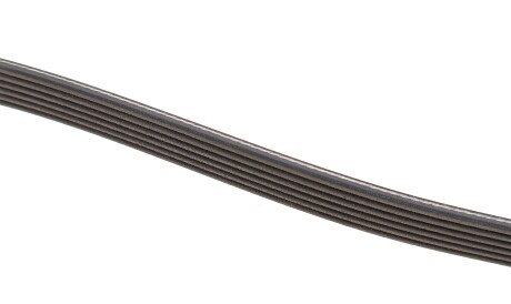 Фото 3 - Ремень приводной DAYCO 6PK2581