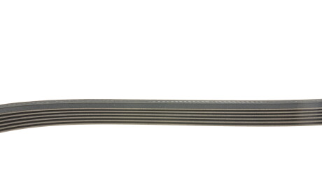 Фото 3 - Ремень приводной DAYCO 6PK2585