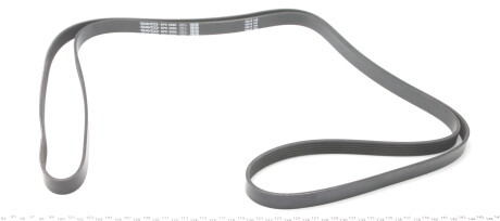 Фото 2 - Ремінь приводний DAYCO 6PK2590