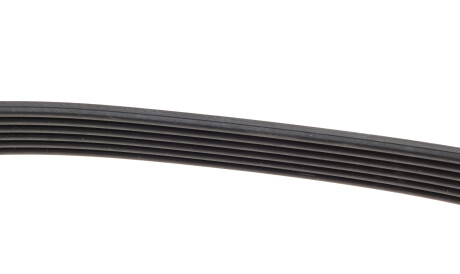 Фото 3 - Ремень приводной DAYCO 6PK691EE