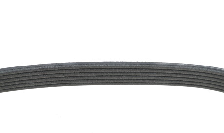 Фото 3 - Ремінь приводний DAYCO 6PK701EE