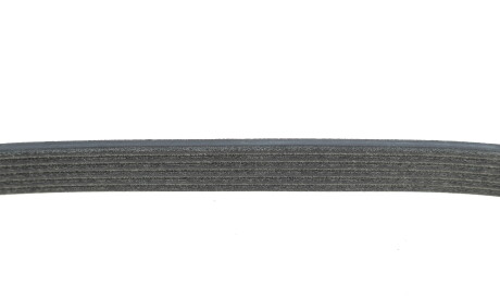 Фото 3 - Ремень приводной DAYCO 6PK730EE