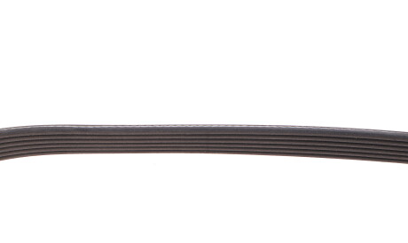 Фото 3 - Ремень приводной DAYCO 6PK798