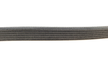 Фото 3 - Ремень приводной DAYCO 6PK799EE