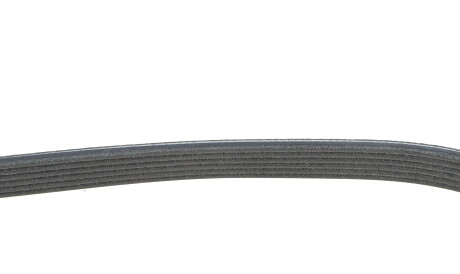 Фото 3 - Ремень приводной DAYCO 6PK803EE