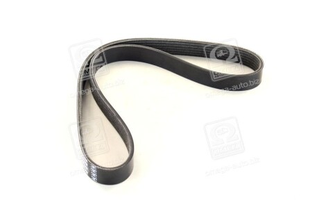 Фото 2 - Ремінь приводний DAYCO 6PK815S