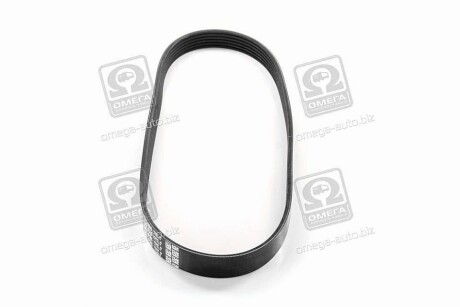 Фото 2 - Ремень приводной DAYCO 6PK825