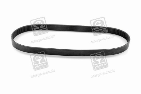 Фото 3 - Ремень приводной DAYCO 6PK825