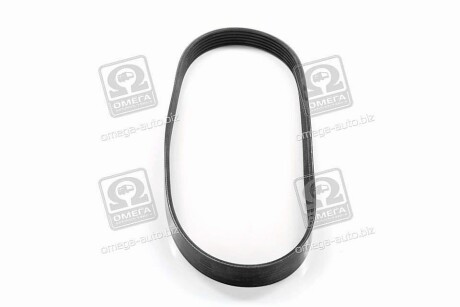 Фото 4 - Ремень приводной DAYCO 6PK825