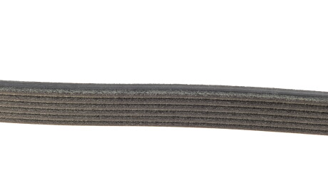 Фото 3 - Ремень приводной DAYCO 6PK831EE