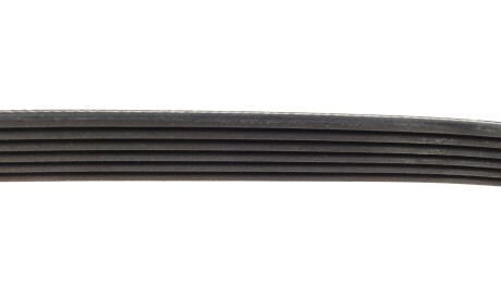 Фото 3 - Ремень приводной DAYCO 6PK853