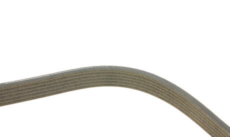 Фото 3 - Ремінь приводний DAYCO 6PK860EE