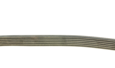 Фото 2 - Ремінь приводний DAYCO 6PK862