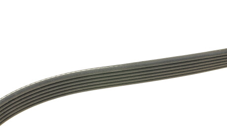 Фото 2 - Ремінь приводний DAYCO 6PK888