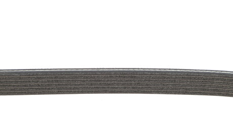 Фото 3 - Ремінь приводний DAYCO 6PK905S