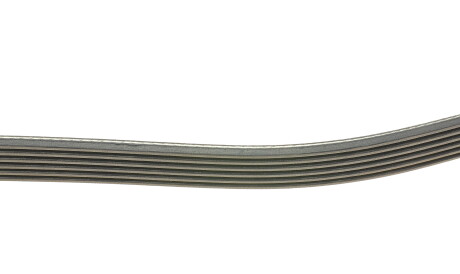 Фото 2 - Ремень приводной DAYCO 6PK906