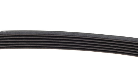 Фото 4 - Ремень приводной DAYCO 6PK915