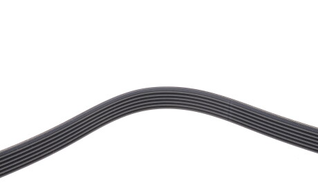 Фото 3 - Автозапчасть DAYCO 6PK922H