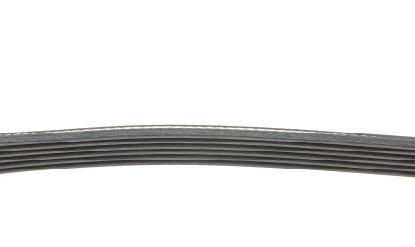 Фото 2 - Ремень приводной DAYCO 6PK923