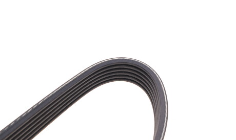 Фото 3 - Ремінь приводний DAYCO 6PK962