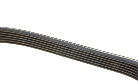 Фото 3 - Ремень приводной DAYCO 6PK986