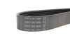 Ремінь генератора Lancia Dedra/Alfa Romeo 155 1.8/2.0 95-05 - ((60617858, 60812329)) DAYCO 7PK1083 (фото 4)