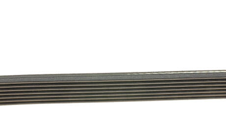 Фото 2 - Ремінь приводний DAYCO 7PK1127