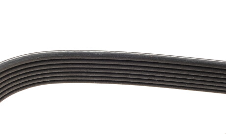 Фото 3 - Ремень приводной DAYCO 7PK1153